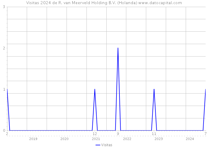 Visitas 2024 de R. van Meerveld Holding B.V. (Holanda) 