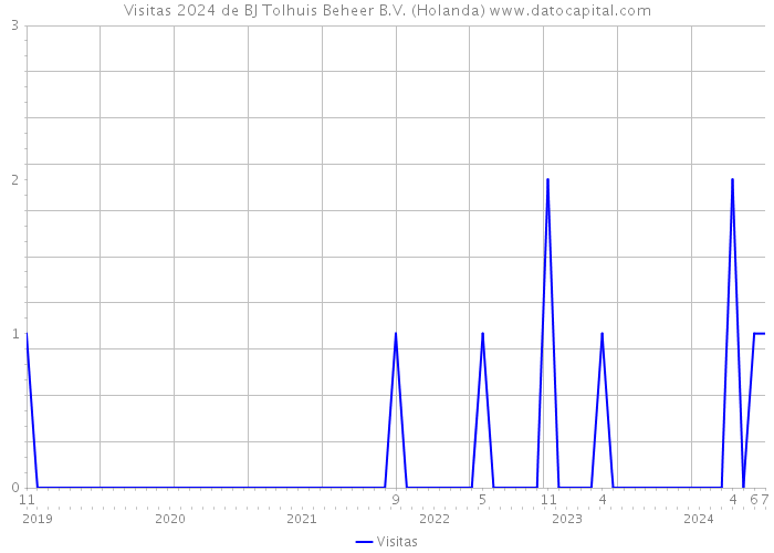 Visitas 2024 de BJ Tolhuis Beheer B.V. (Holanda) 