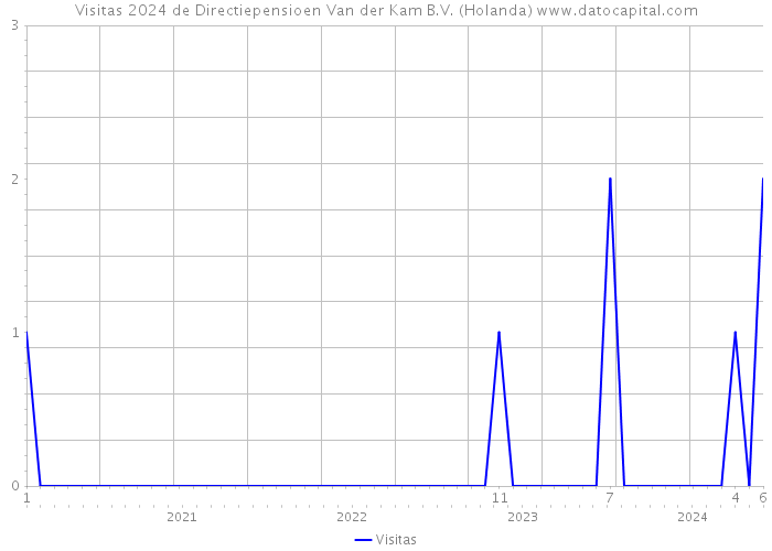 Visitas 2024 de Directiepensioen Van der Kam B.V. (Holanda) 