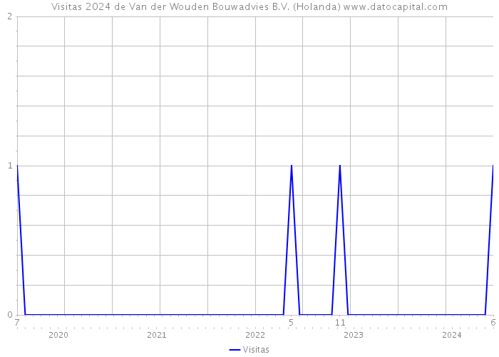 Visitas 2024 de Van der Wouden Bouwadvies B.V. (Holanda) 