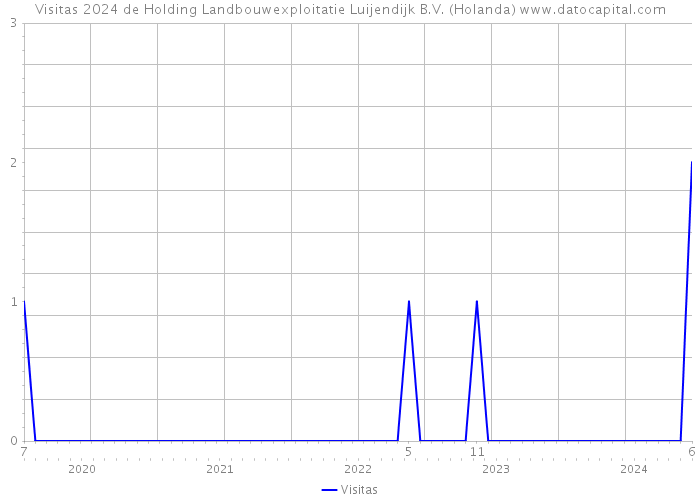 Visitas 2024 de Holding Landbouwexploitatie Luijendijk B.V. (Holanda) 