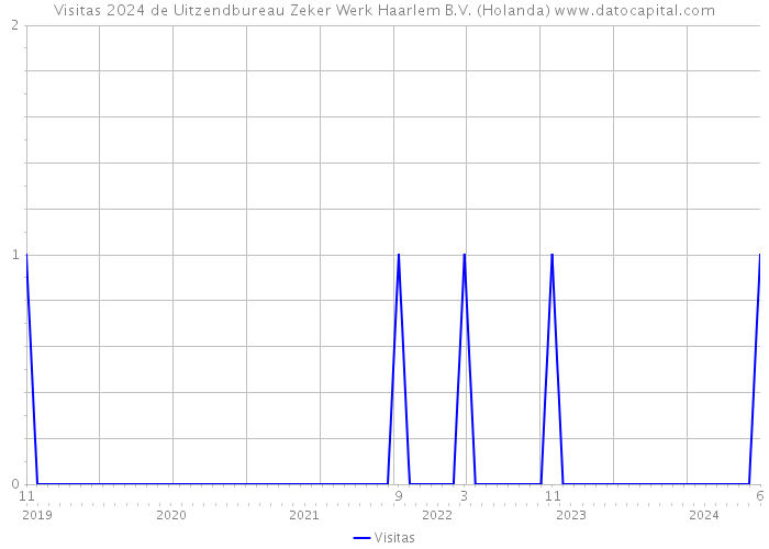 Visitas 2024 de Uitzendbureau Zeker Werk Haarlem B.V. (Holanda) 