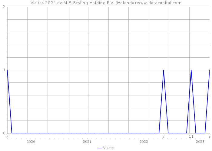 Visitas 2024 de M.E. Besling Holding B.V. (Holanda) 