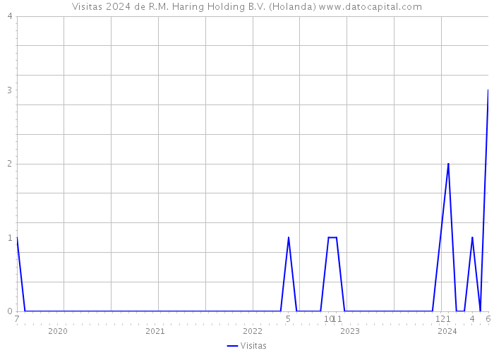 Visitas 2024 de R.M. Haring Holding B.V. (Holanda) 