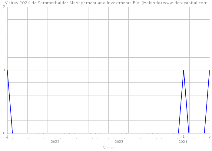 Visitas 2024 de Sommerhalder Management and Investments B.V. (Holanda) 
