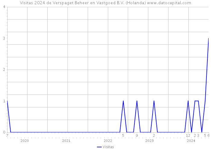 Visitas 2024 de Verspaget Beheer en Vastgoed B.V. (Holanda) 