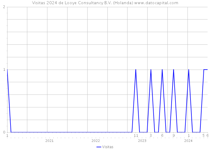 Visitas 2024 de Looye Consultancy B.V. (Holanda) 