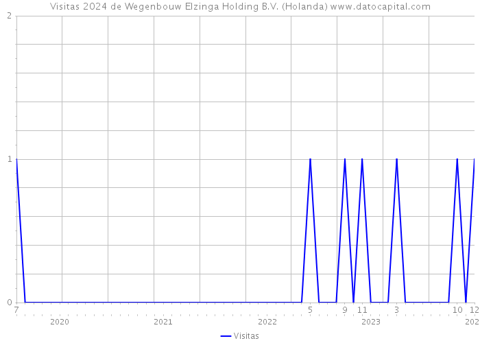 Visitas 2024 de Wegenbouw Elzinga Holding B.V. (Holanda) 