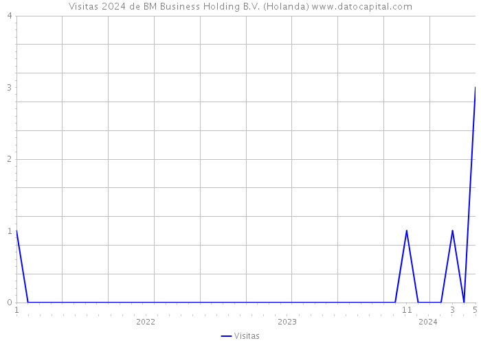 Visitas 2024 de BM Business Holding B.V. (Holanda) 