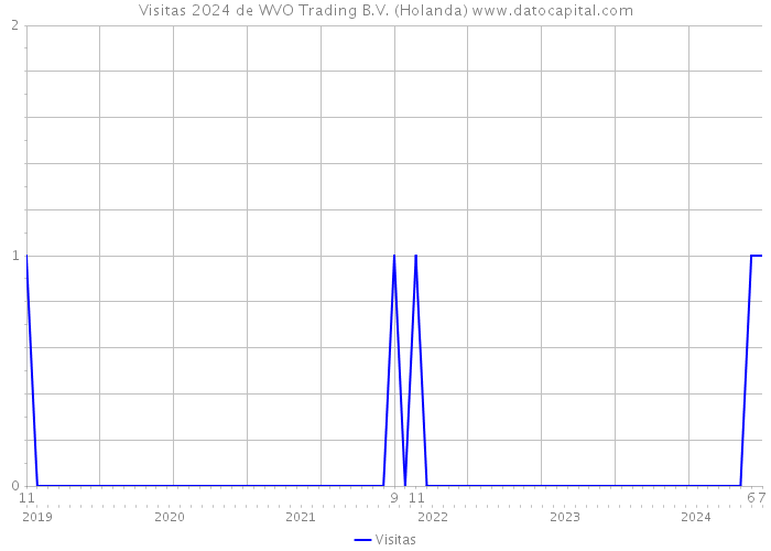 Visitas 2024 de WVO Trading B.V. (Holanda) 