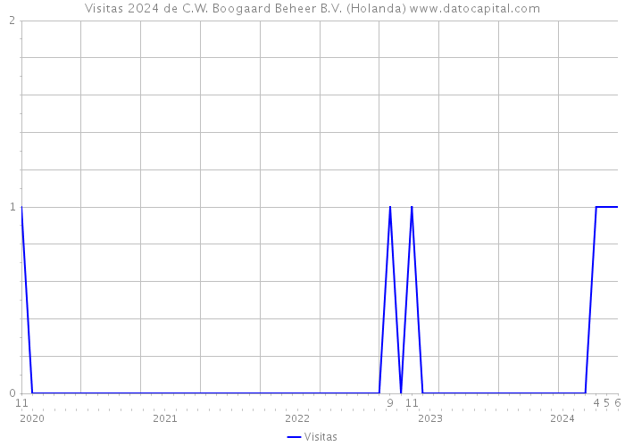 Visitas 2024 de C.W. Boogaard Beheer B.V. (Holanda) 