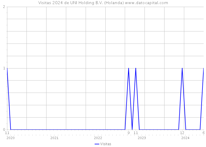 Visitas 2024 de UNI Holding B.V. (Holanda) 