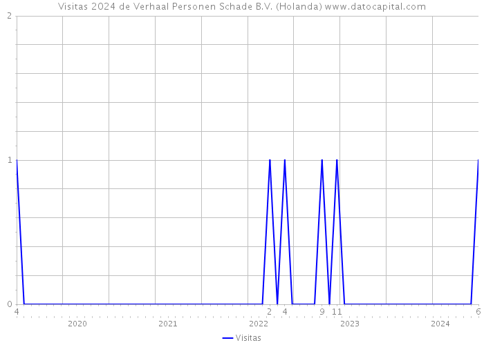 Visitas 2024 de Verhaal Personen Schade B.V. (Holanda) 