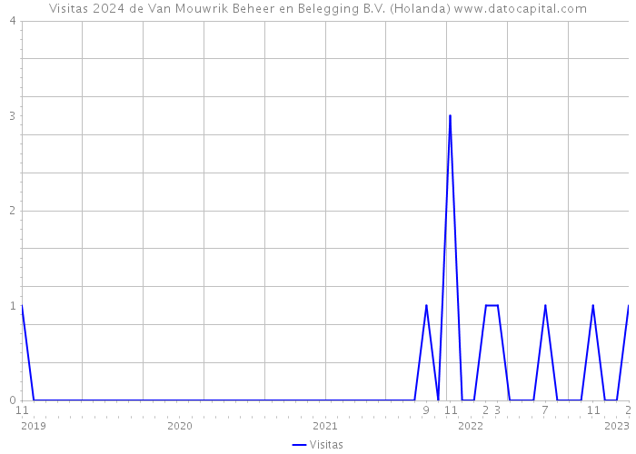 Visitas 2024 de Van Mouwrik Beheer en Belegging B.V. (Holanda) 