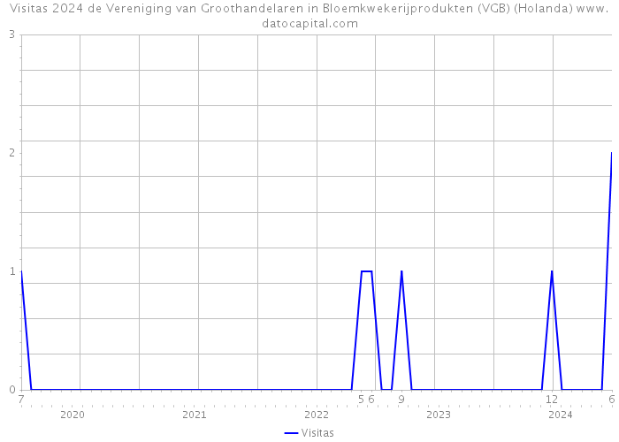 Visitas 2024 de Vereniging van Groothandelaren in Bloemkwekerijprodukten (VGB) (Holanda) 