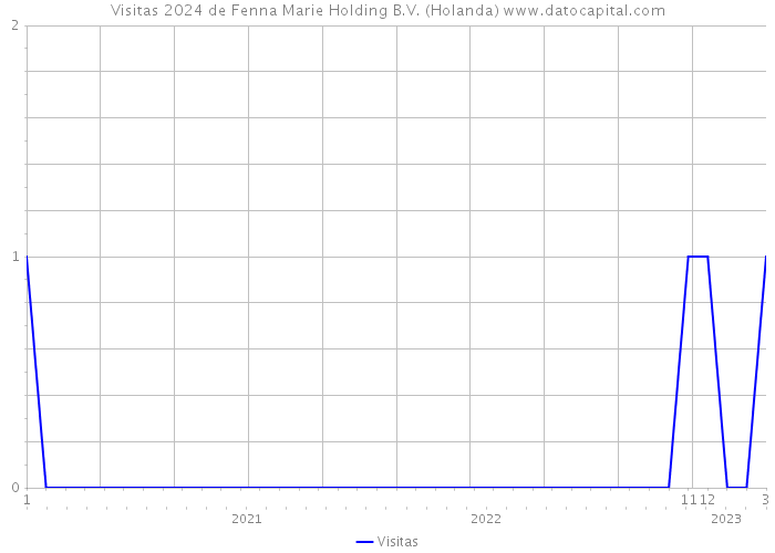 Visitas 2024 de Fenna Marie Holding B.V. (Holanda) 
