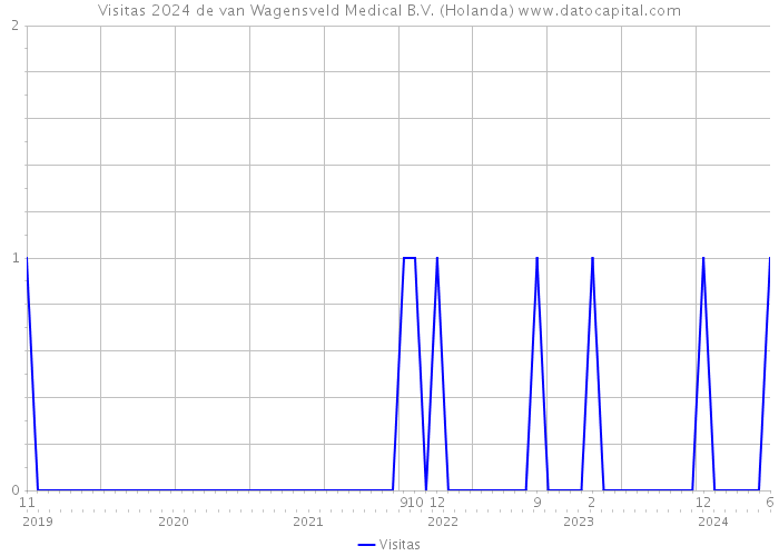 Visitas 2024 de van Wagensveld Medical B.V. (Holanda) 