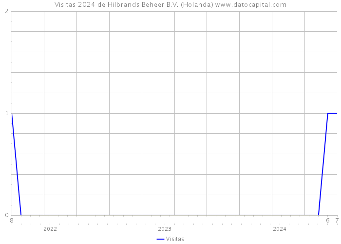 Visitas 2024 de Hilbrands Beheer B.V. (Holanda) 