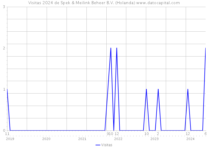 Visitas 2024 de Spek & Meilink Beheer B.V. (Holanda) 