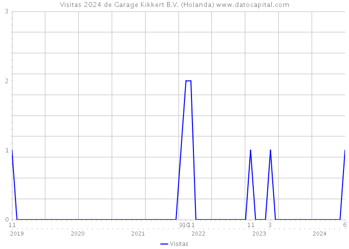 Visitas 2024 de Garage Kikkert B.V. (Holanda) 