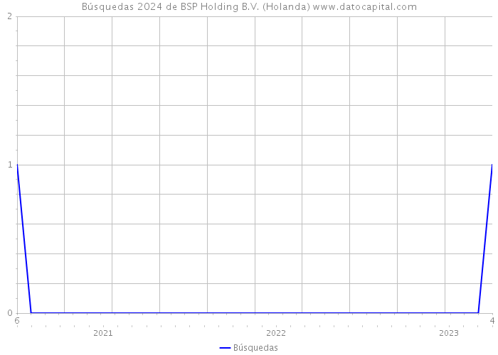 Búsquedas 2024 de BSP Holding B.V. (Holanda) 