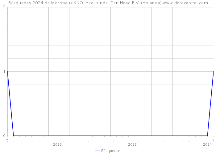 Búsquedas 2024 de Morpheus KNO-Heelkunde-Den Haag B.V. (Holanda) 