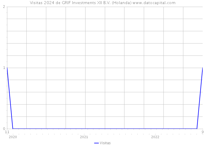 Visitas 2024 de GRIF Investments XII B.V. (Holanda) 