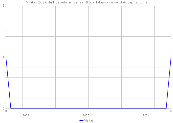 Visitas 2024 de Hoepelman Beheer B.V. (Holanda) 