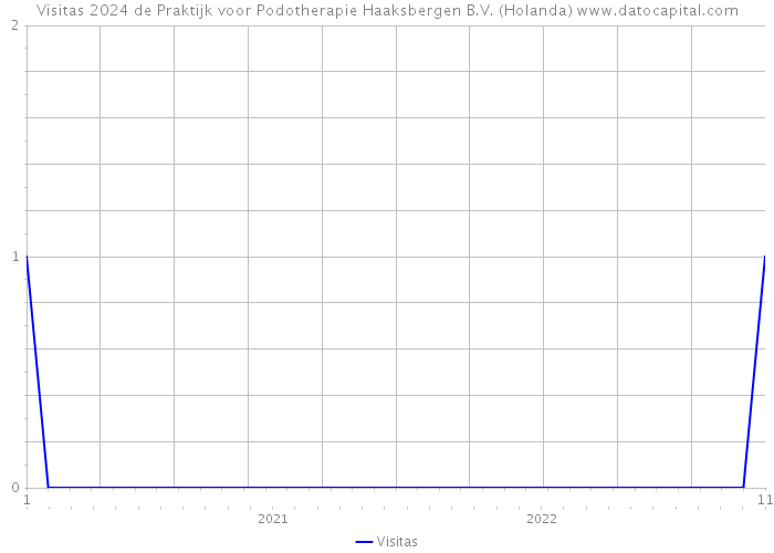 Visitas 2024 de Praktijk voor Podotherapie Haaksbergen B.V. (Holanda) 