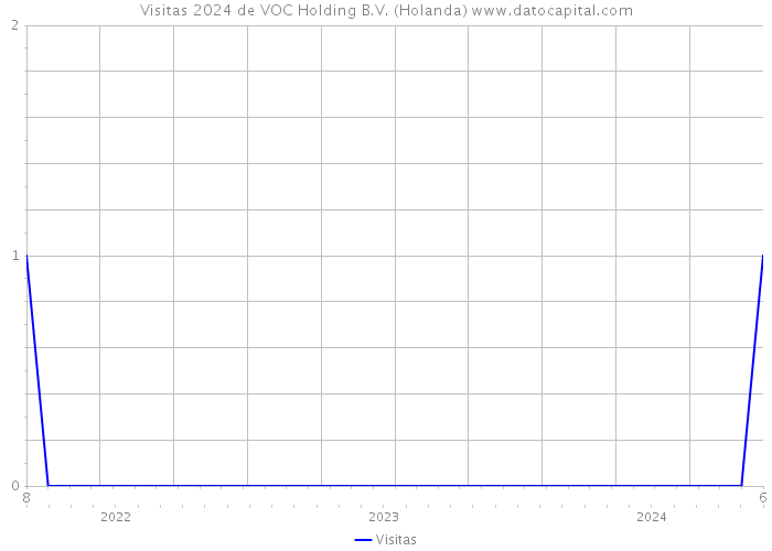 Visitas 2024 de VOC Holding B.V. (Holanda) 
