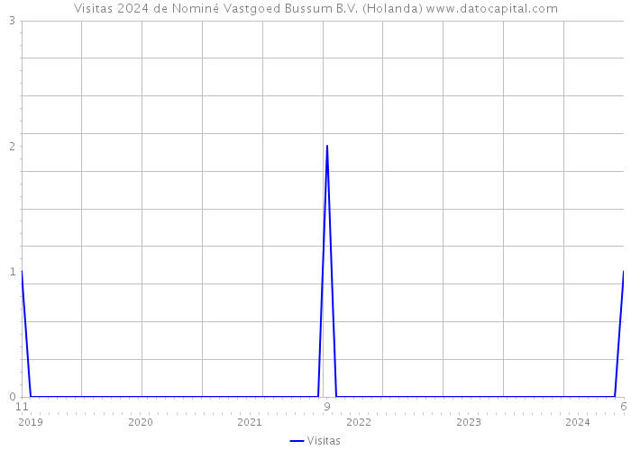 Visitas 2024 de Nominé Vastgoed Bussum B.V. (Holanda) 