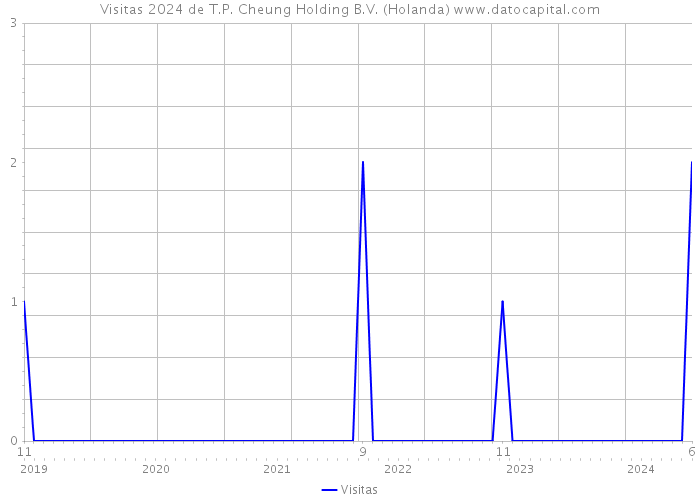 Visitas 2024 de T.P. Cheung Holding B.V. (Holanda) 