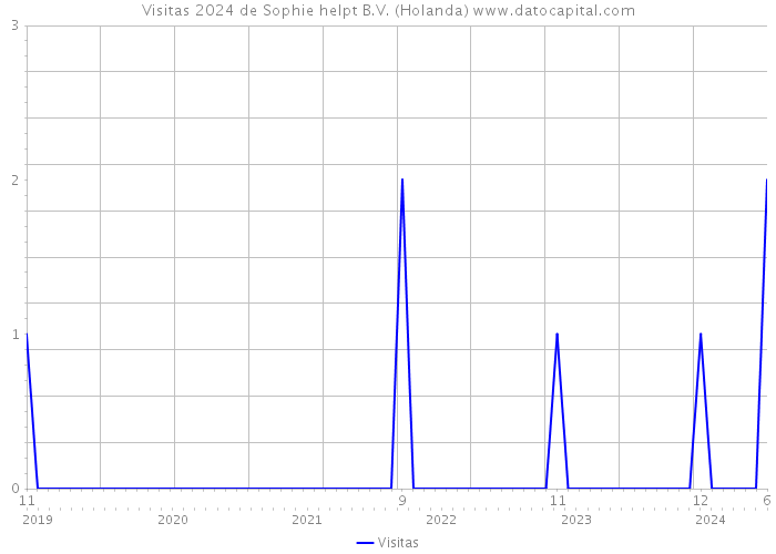 Visitas 2024 de Sophie helpt B.V. (Holanda) 