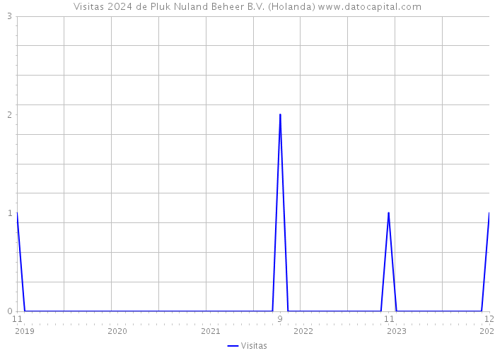 Visitas 2024 de Pluk Nuland Beheer B.V. (Holanda) 