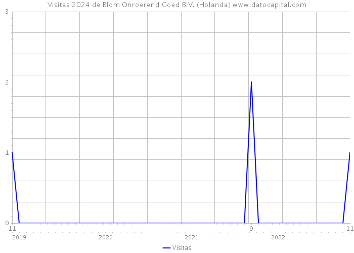 Visitas 2024 de Blom Onroerend Goed B.V. (Holanda) 