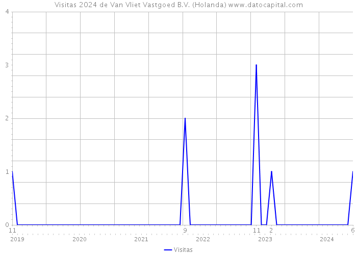 Visitas 2024 de Van Vliet Vastgoed B.V. (Holanda) 