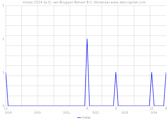 Visitas 2024 de D. van Bruggen Beheer B.V. (Holanda) 