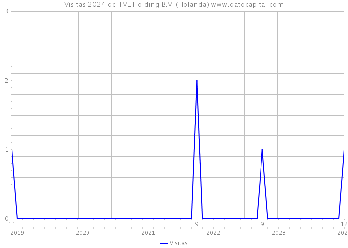 Visitas 2024 de TVL Holding B.V. (Holanda) 