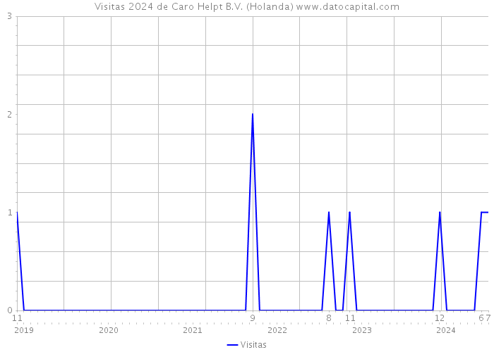 Visitas 2024 de Caro Helpt B.V. (Holanda) 