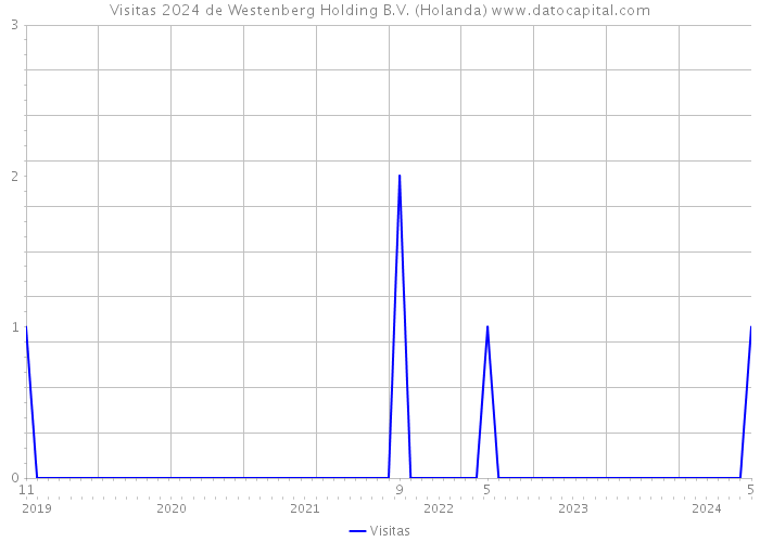 Visitas 2024 de Westenberg Holding B.V. (Holanda) 