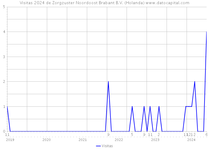 Visitas 2024 de Zorgzuster Noordoost Brabant B.V. (Holanda) 