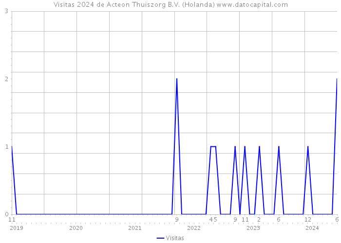 Visitas 2024 de Acteon Thuiszorg B.V. (Holanda) 