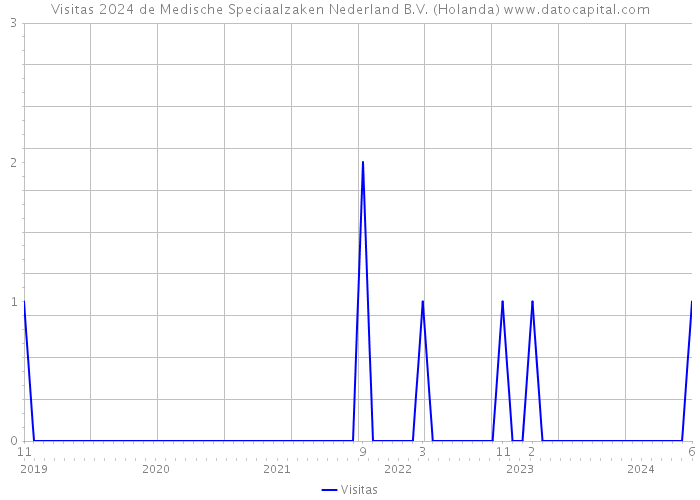 Visitas 2024 de Medische Speciaalzaken Nederland B.V. (Holanda) 