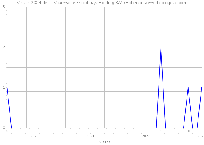 Visitas 2024 de ´t Vlaamsche Broodhuys Holding B.V. (Holanda) 
