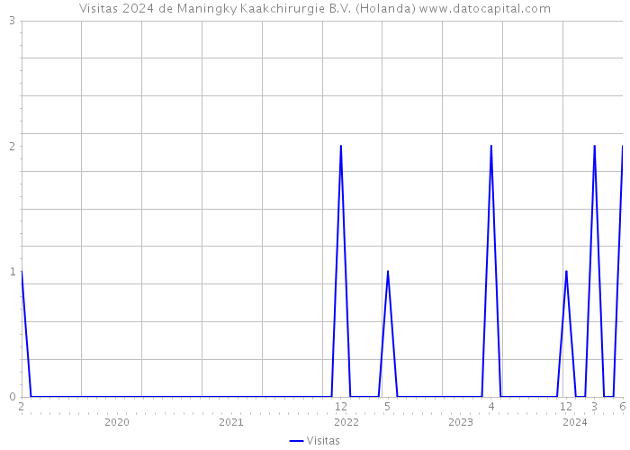 Visitas 2024 de Maningky Kaakchirurgie B.V. (Holanda) 