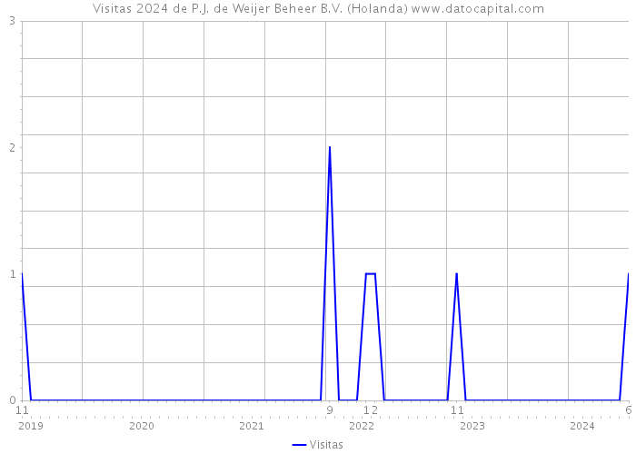 Visitas 2024 de P.J. de Weijer Beheer B.V. (Holanda) 