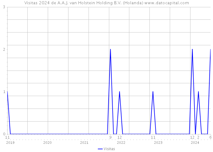 Visitas 2024 de A.A.J. van Holstein Holding B.V. (Holanda) 