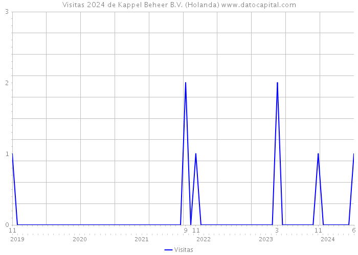 Visitas 2024 de Kappel Beheer B.V. (Holanda) 