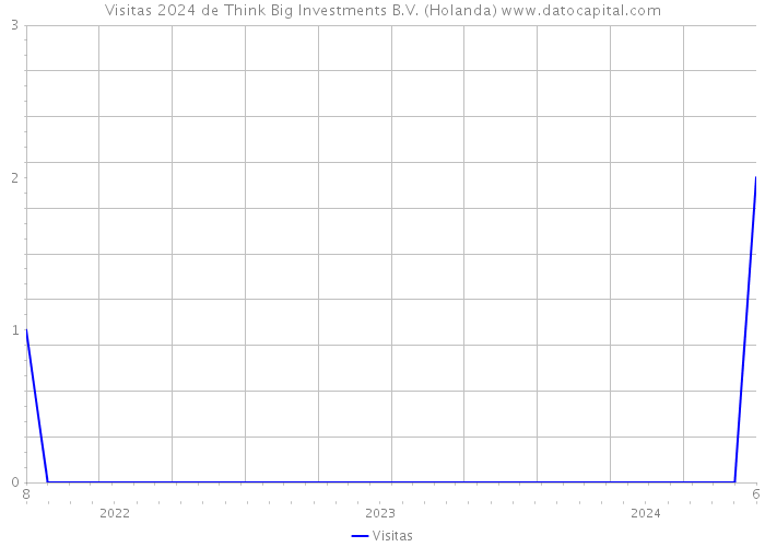 Visitas 2024 de Think Big Investments B.V. (Holanda) 