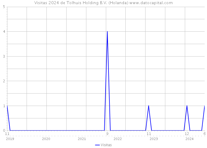 Visitas 2024 de Tolhuis Holding B.V. (Holanda) 